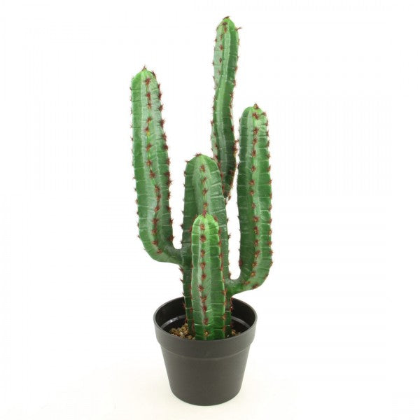 24.5"GREEN CACTUS POTTED
