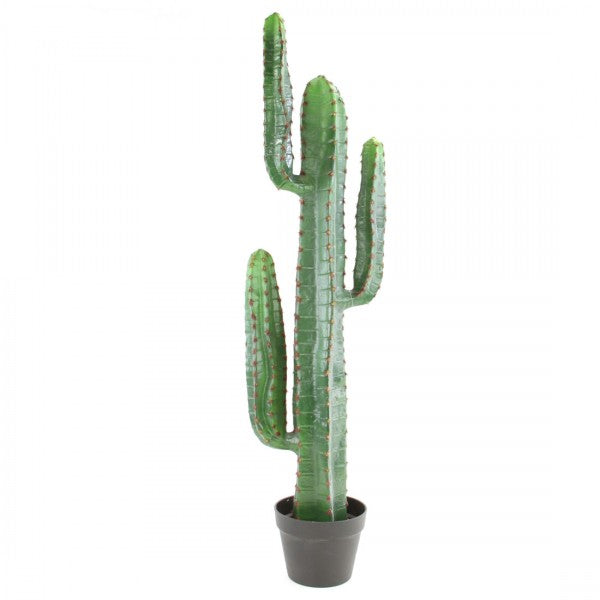 42.5"GREEN CACTUS POTTED