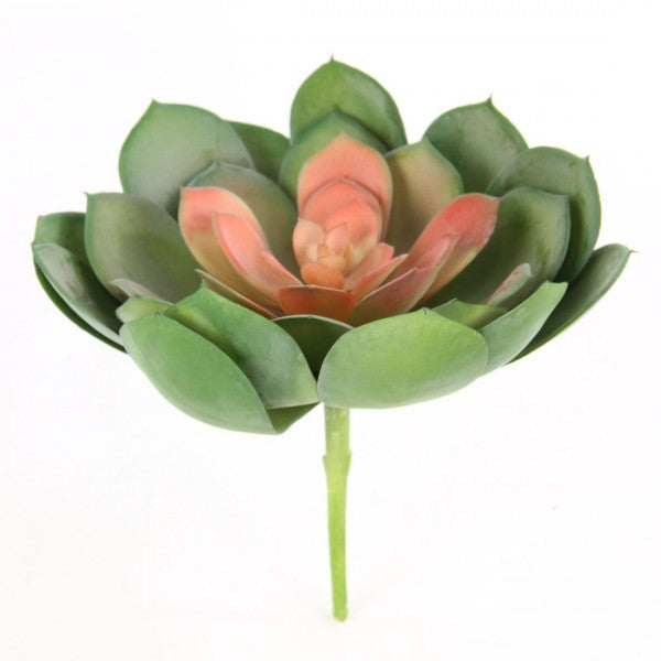 7"X9"D SUCCULENT SINGLE STEM