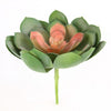 7"X9"D SUCCULENT SINGLE STEM