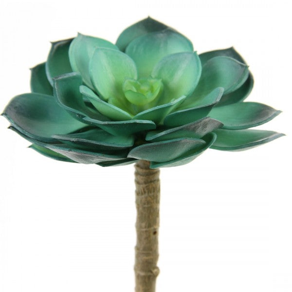 5"X4"D SUCCULENT STEM BLUE