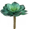 5"X4"D SUCCULENT STEM BLUE