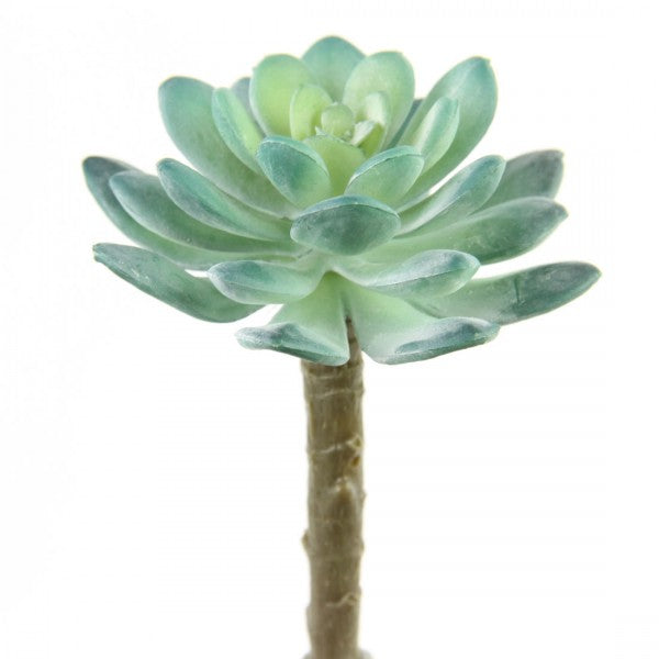 4.75"X3"D SUCCULENT STEM BLUE