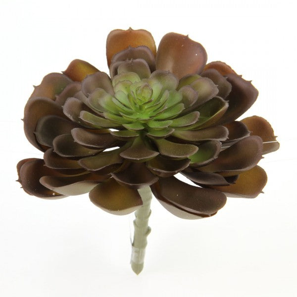 5.75"SUCCULENT STEM GREEN