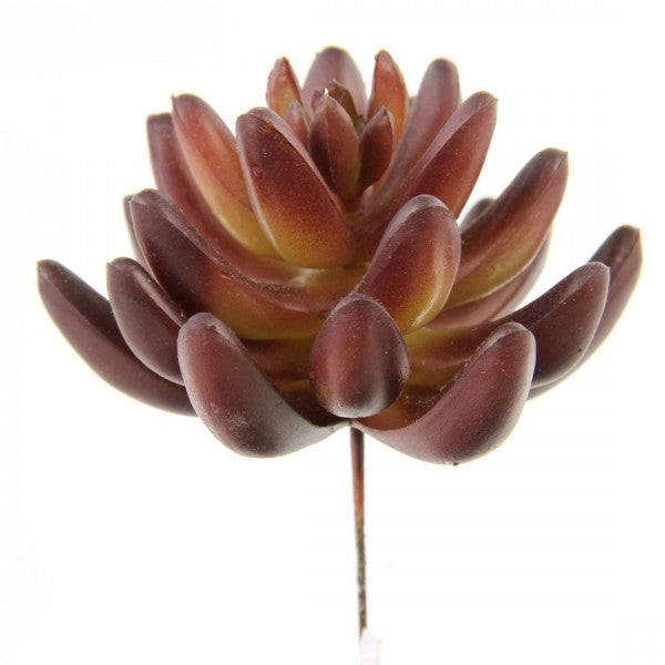 4"SUCCULENT STEM LAVENDER