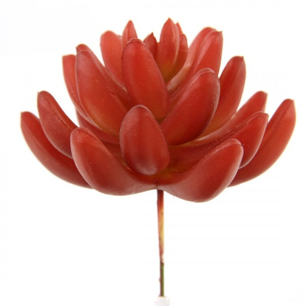 4"SUCCULENT STEM RED
