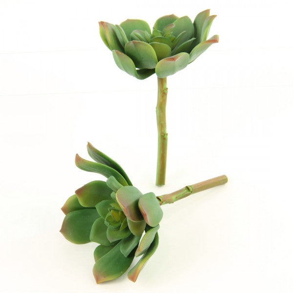 5"RED SUCCULENT PICK 2PC/BG