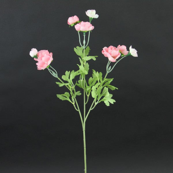 26"RANUCULUS SPRAY X3 LT.PINK