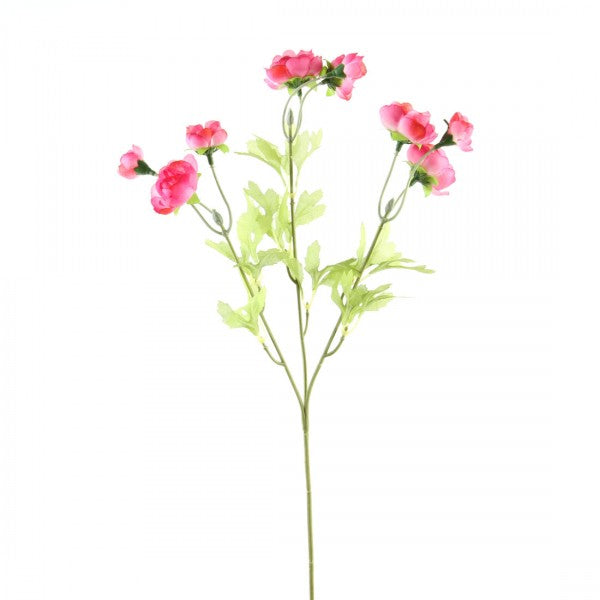 26"RANUCULUS SPRAY X3 CERISE