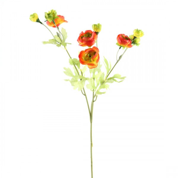 26"RANUCULUS SPRAY X3 ORA/YEL