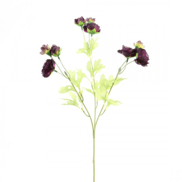 26"RANUCULUS SPRAY X3 PURPLE