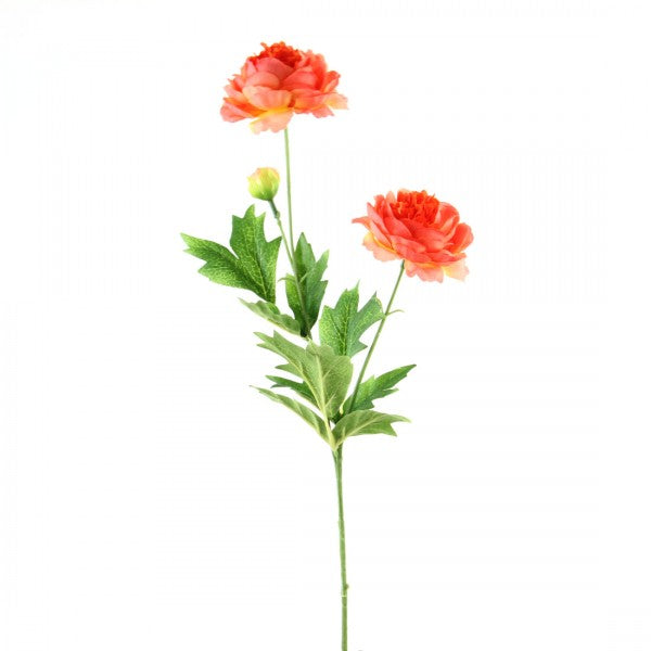25" RANUCULUS SPRAY CORAL