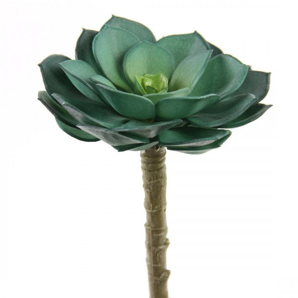 5" SUCCULENT STEM TURQUOISE