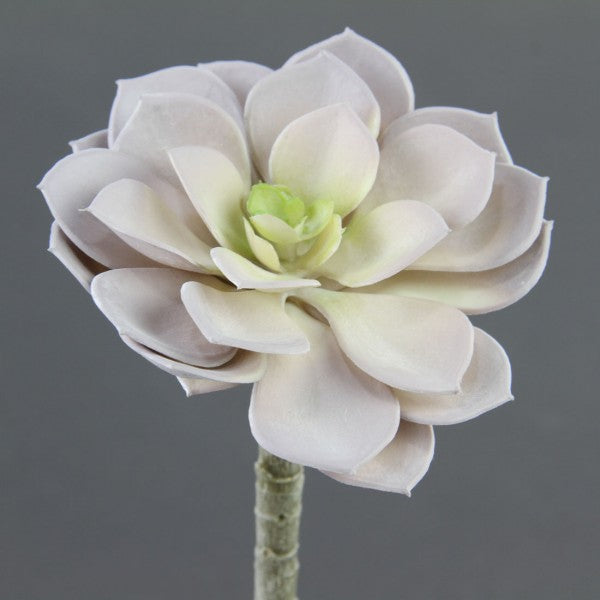 5"SUCCULENT STEM LAVENDER