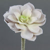 5"SUCCULENT STEM LAVENDER