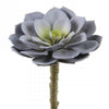 5"SUCCULENT STEM LILAC/GRN