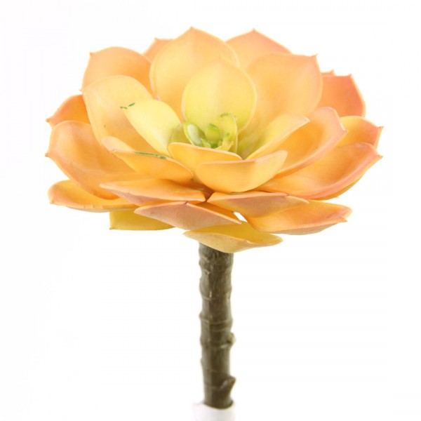 5"SUCCULENT STEM ORAN/GRN