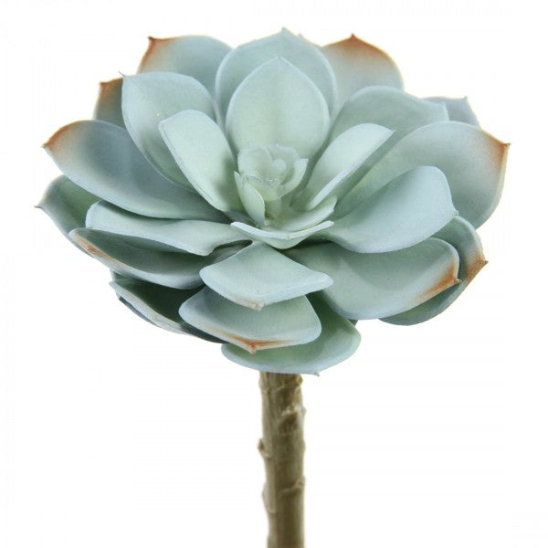 5"SUCCULENT STEM LT.BLUE