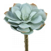 5"SUCCULENT STEM LT.BLUE