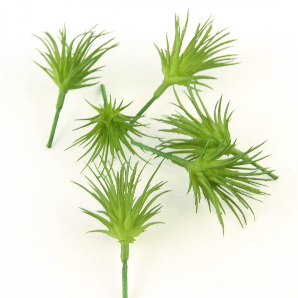 MINI AIR PLANT PICK 6/BG