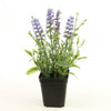 9"LAVENDER POTTED