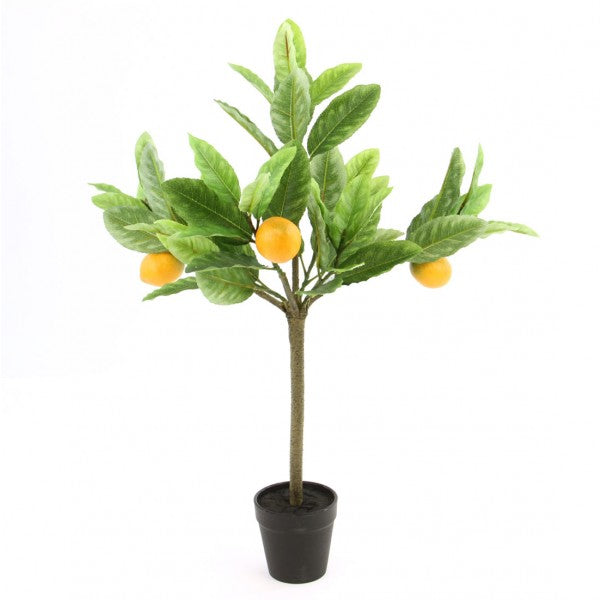 2' LEMON TREE W/3 LEMON