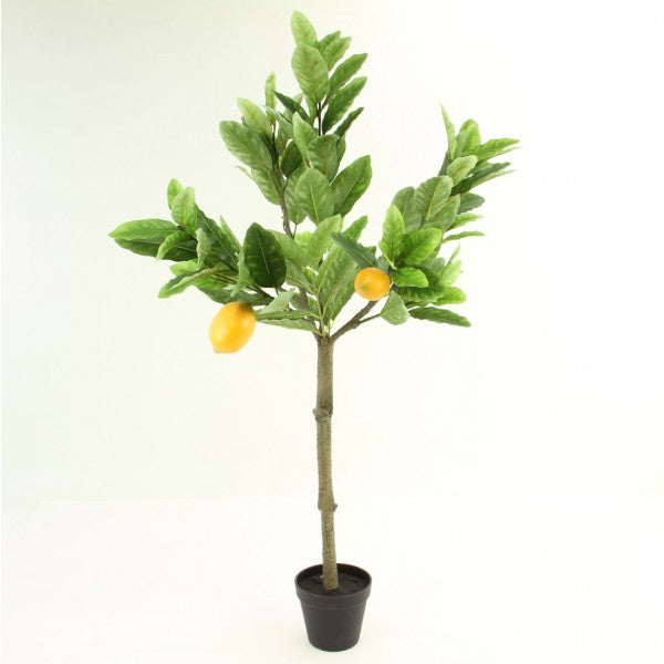 3' LEMON TREE W/4 LEMON