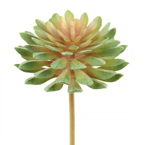 12.5CM SUCCULENT STEM