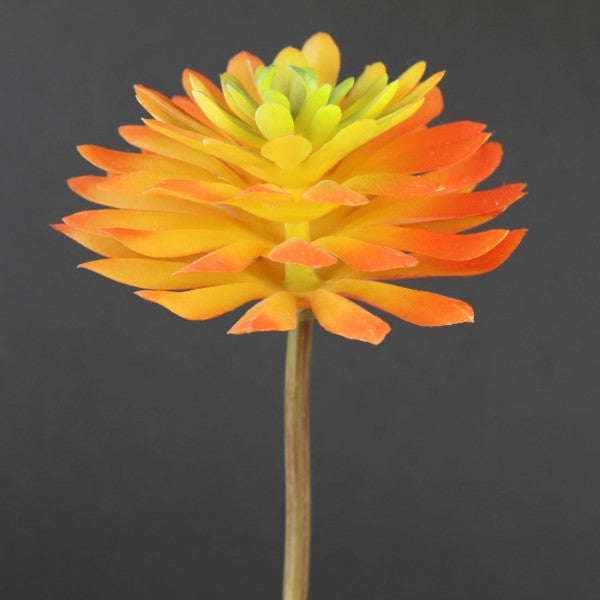 12.5CM SUCCULENT STEM ORANGE
