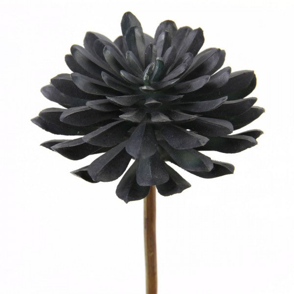 12.5CM SUCCULENT STEM