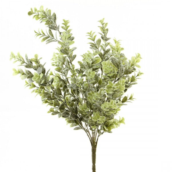 18"ICED BOXWOOD BUSH X7