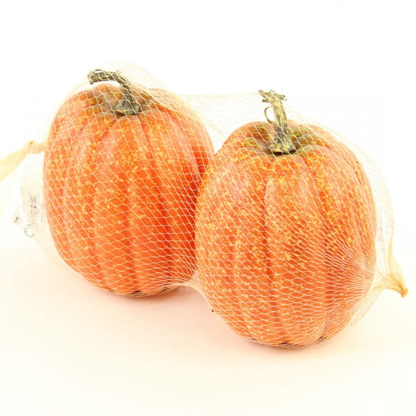 PUMPKIN ORANGE 2/BG