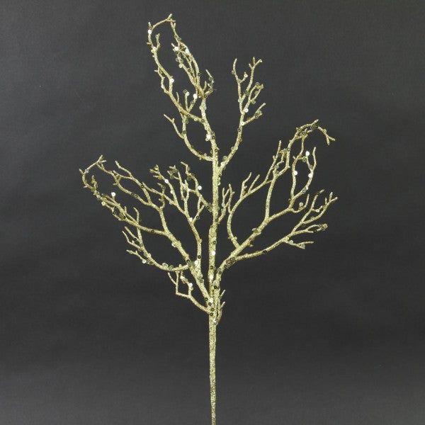 24"TWIG SPRY X3 GOLD A4