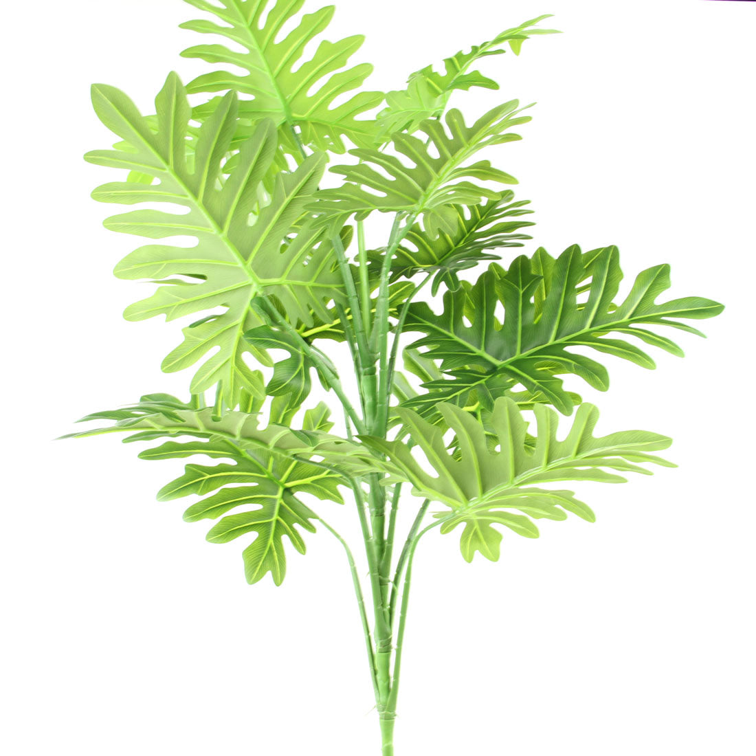 40"PHILODENDRON SELLOUM