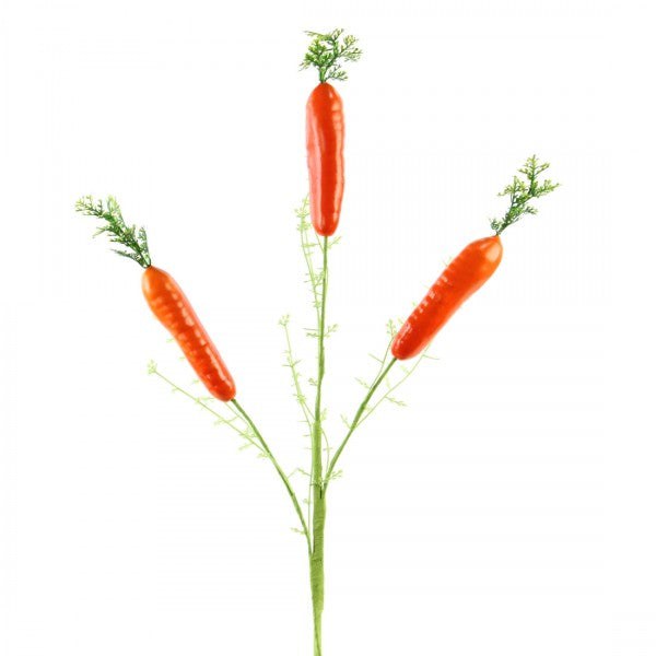 26"CARROT SPRAY X3
