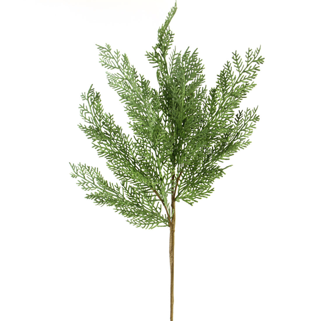 31"CYPRESS SPRAY