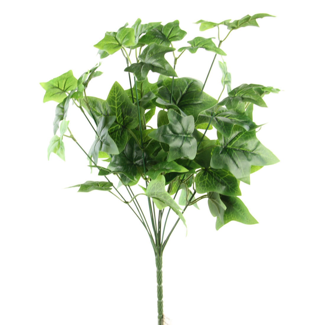 21"ENGLISH IVY BUSH X12