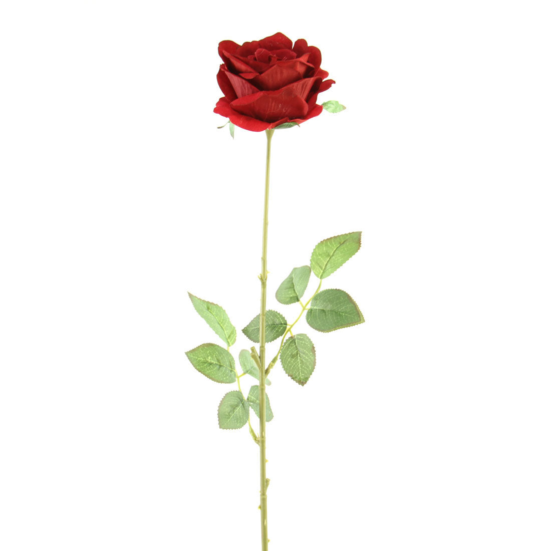 30"SINGLE VELVET ROSE