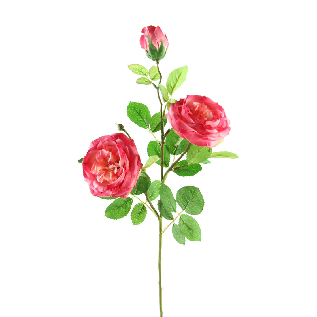 30"AUSTIN ROSE X4 FUCHSIA