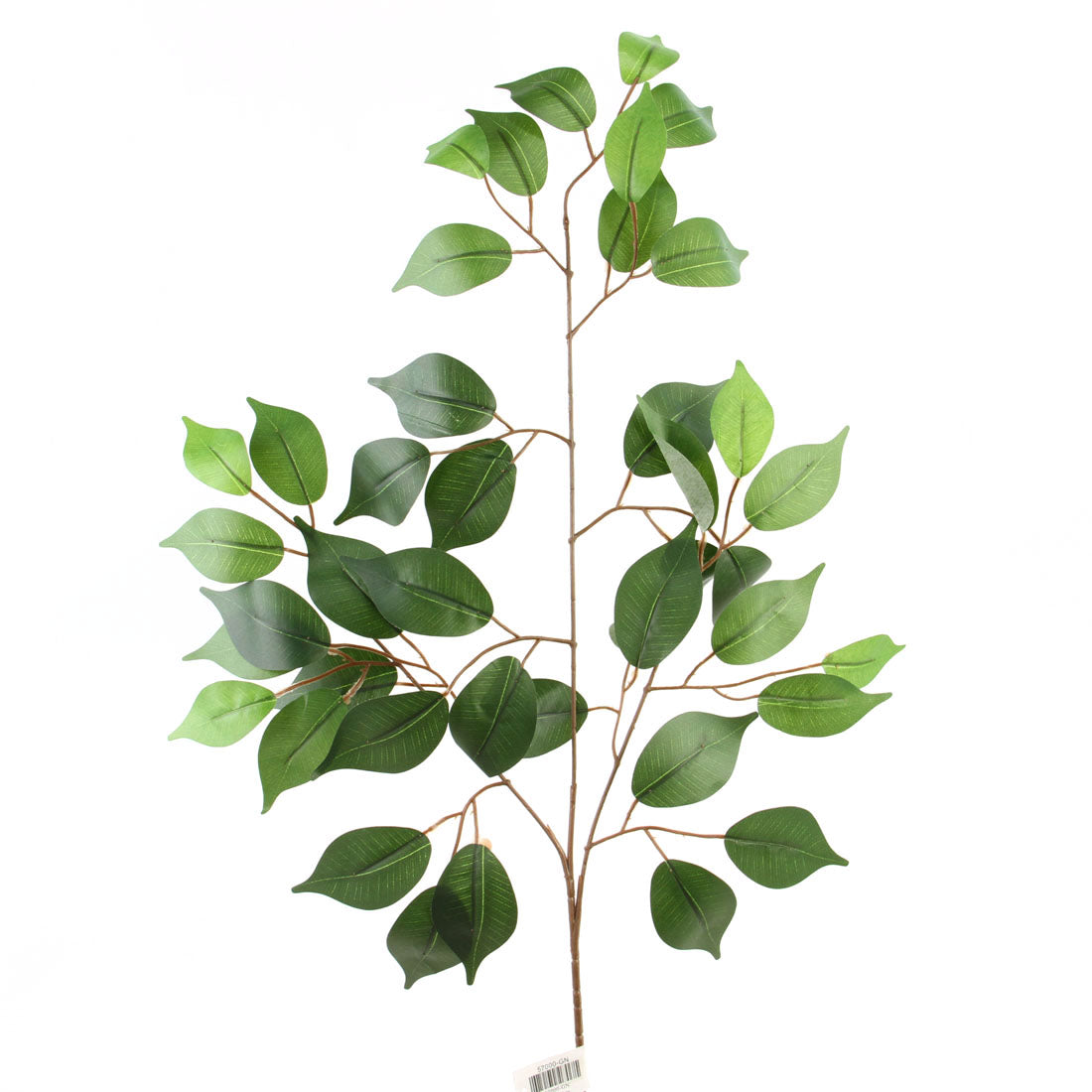 23"FICUS SPRAY X3