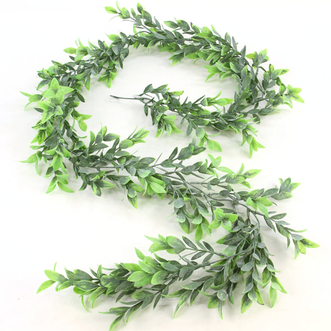 6' RUSCUS GARLAND