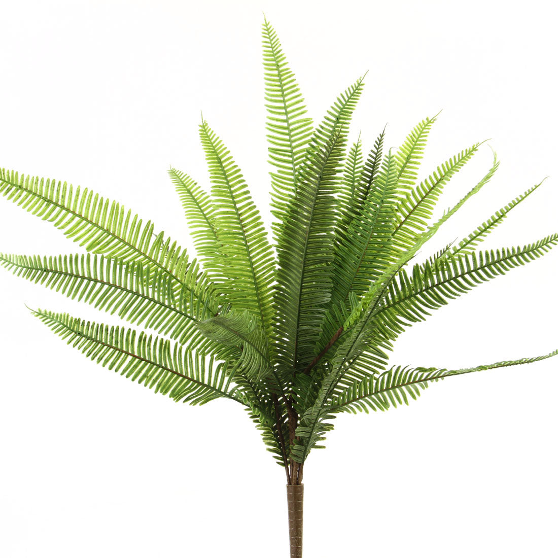 19"UV FERN LEAVES