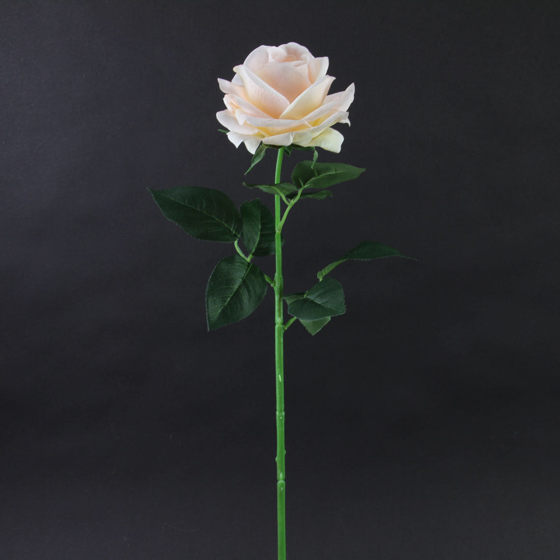 25"ROSE SPRAY BLUSH/PEACH