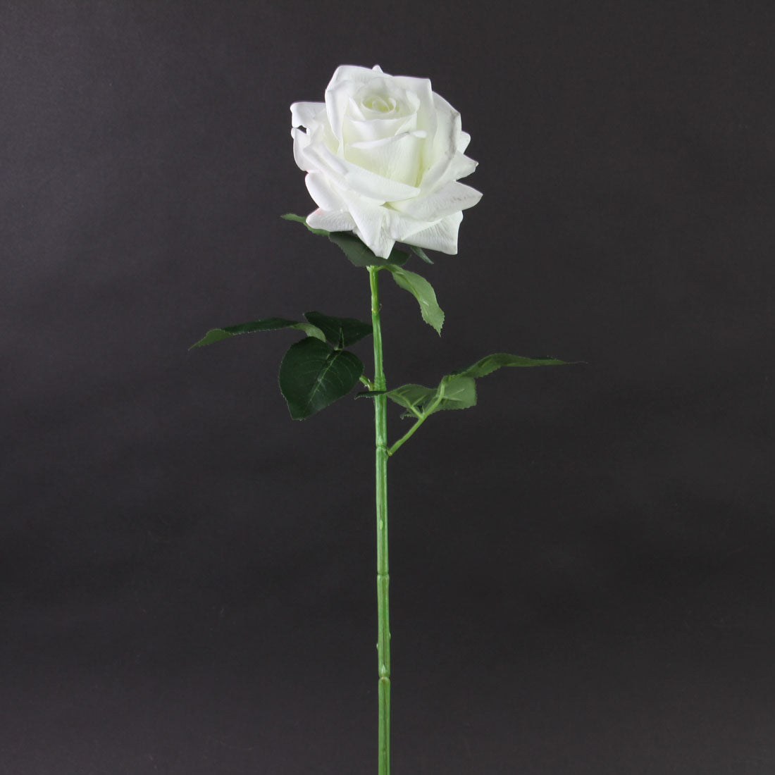 25"ROSE SPRAY CREAM