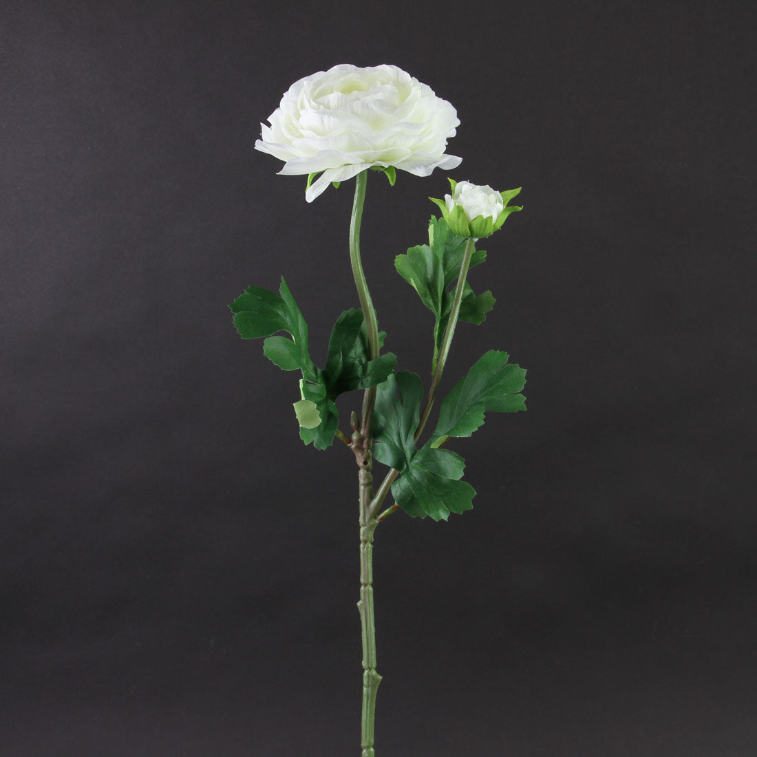 23.5"RANUNCULUS SPRAY X2 CREAM