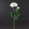 23.5"RANUNCULUS SPRAY X2 CREAM
