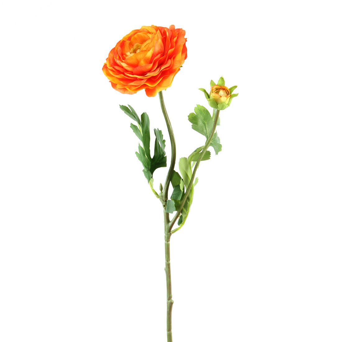 23.5"RANUNCULUS SPRAY X2 ORANG