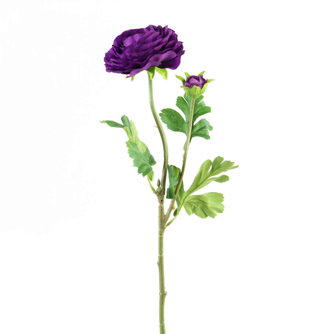 23.5"RANUNCULUS SPRAY X2 PURPLE