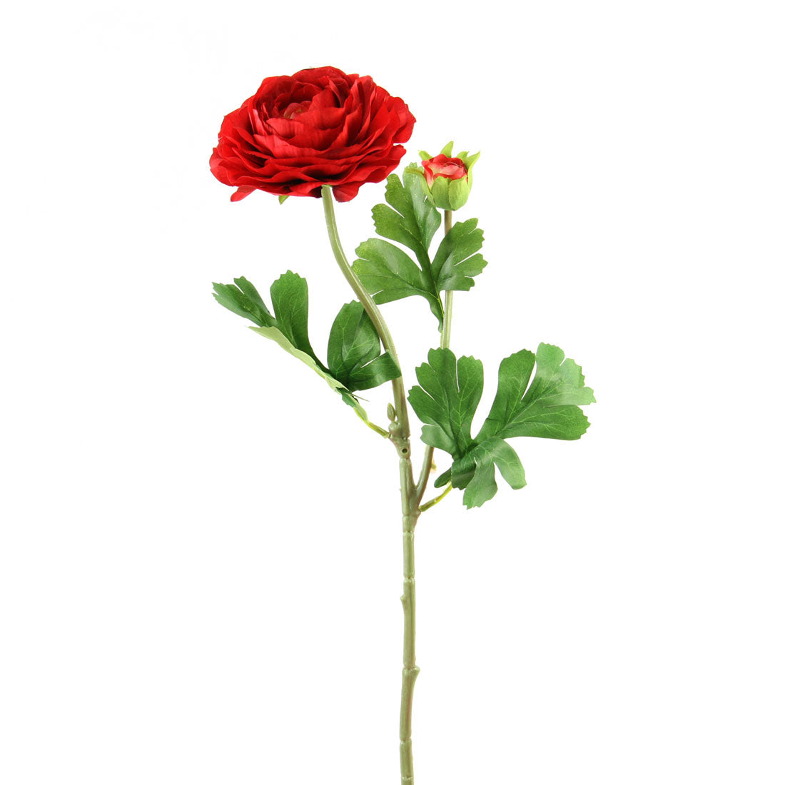 23.5"RANUNCULUS SPRAY X2 RED