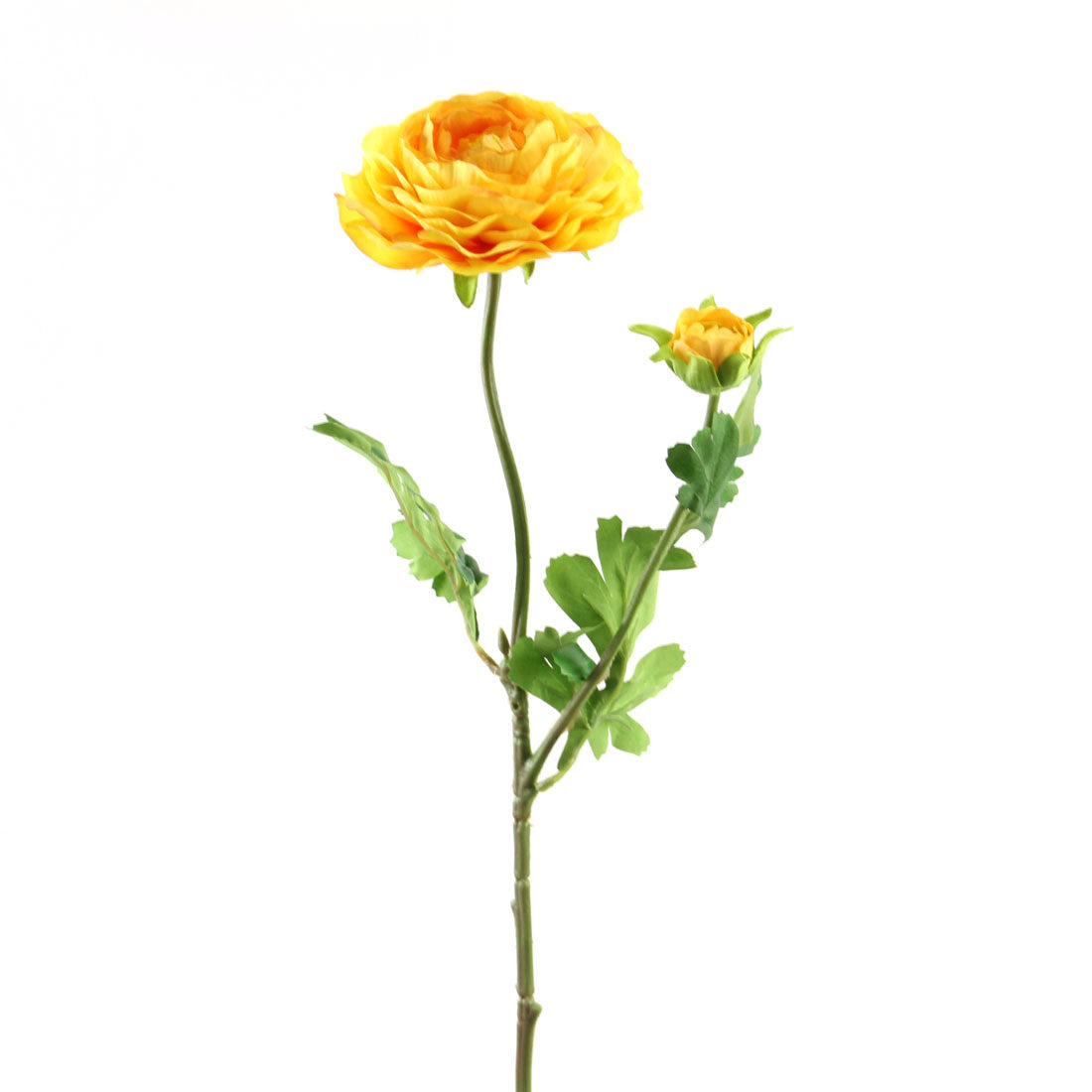 23.5"RANUNCULUS SPRAY X2 YELLW